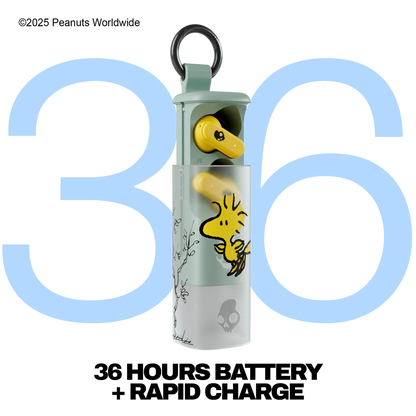 Skullcandy X Peanuts Woodstock